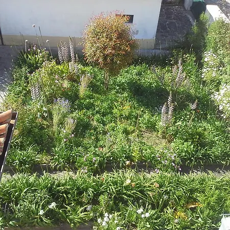 Casa Do Jardim Alpehytte *