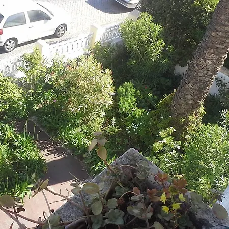 Alpehytte Casa Do Jardim