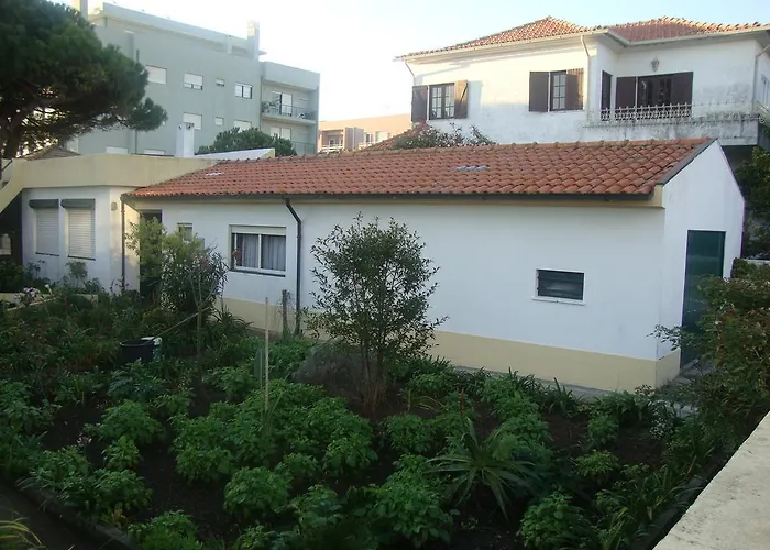 Casa Do Jardim Alpehytte