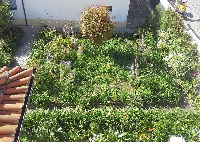 Casa Do Jardim בקתה *